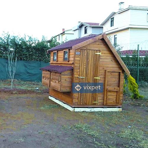 Montana S Tavuk K�mesi 50 Tavuk Bar�nabilir