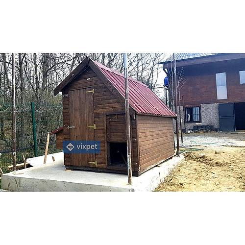 Montana S Tavuk K�mesi 50 Tavuk Bar�nabilir