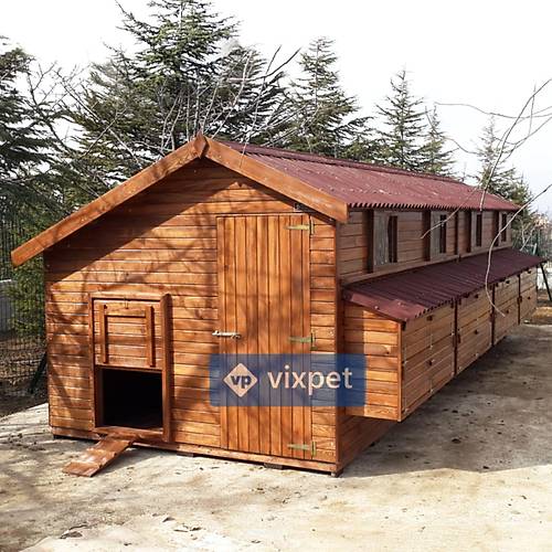 Montana XXL Tavuk Kmesi 200 Tavuk Barnabilir