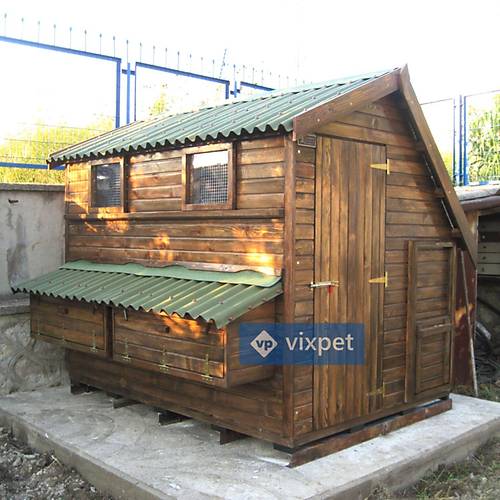 Montana S Tavuk K�mesi 50 Tavuk Bar�nabilir