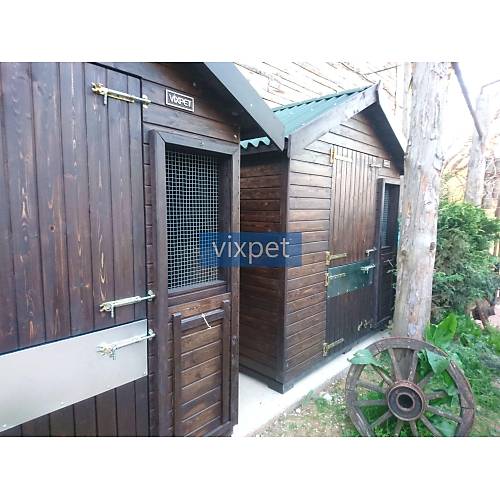 Pony At Ah�r�  200 X 200