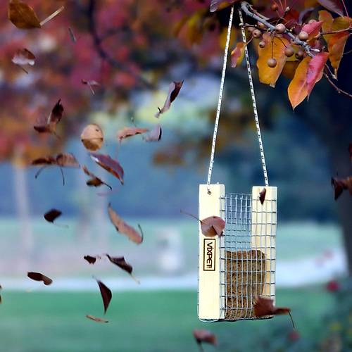 DO�A KU�LARI ���N EKMEKL�K