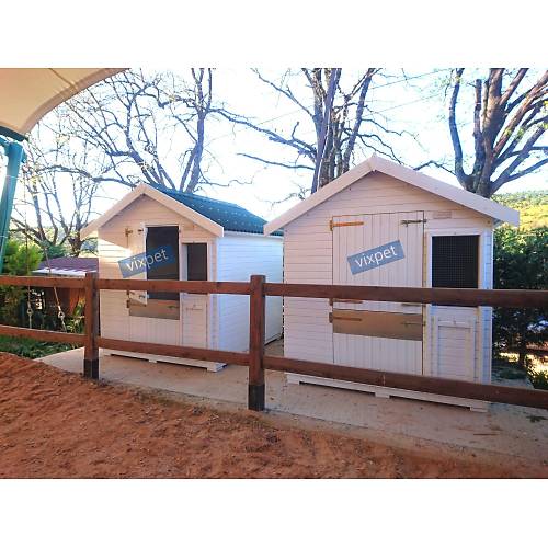 Pony At Ah�r�  200 X 200