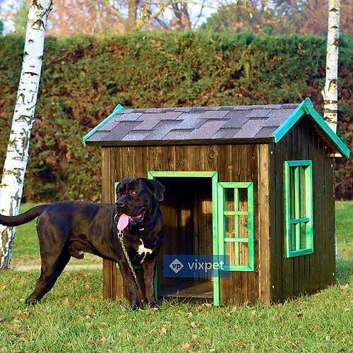 Oxford Pencereli Kpek Kulbesi 100x100x110