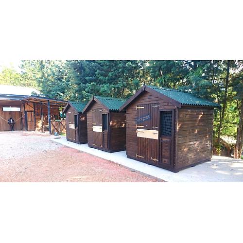 Pony At Ah�r�  200 X 200