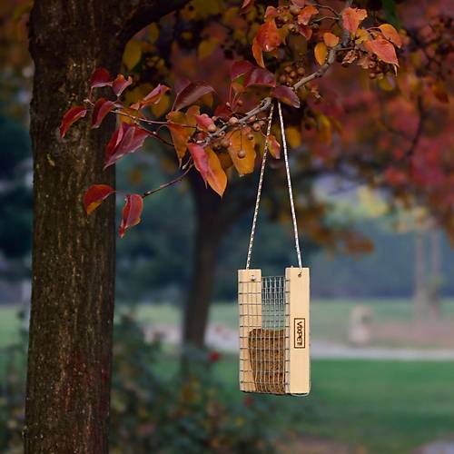 DO�A KU�LARI ���N EKMEKL�K