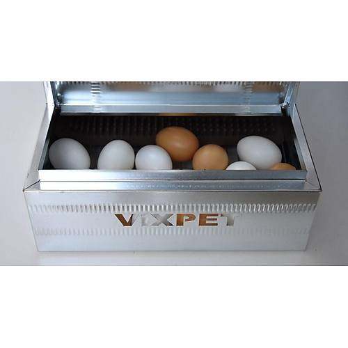 TAVUK FOLLUKLARI /  TEKL�