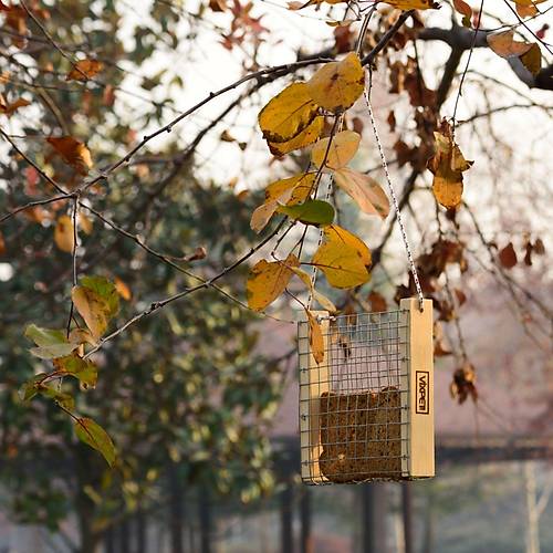 DO�A KU�LARI ���N EKMEKL�K