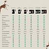 G�rsel 10