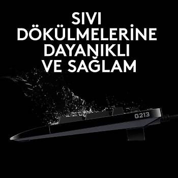 Logitech G213 Prodigy 920-008094 RGB Kablolu Oyuncu Klavyesi