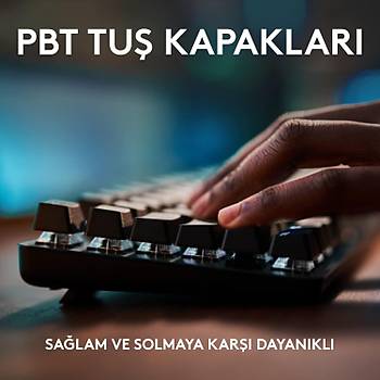 Logitech G413 SE TKL 920-010564 Kablolu Mekanik Oyuncu Klavye
