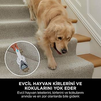 Shark StainStriker ? Pet Ba�l�kl�, Koltuk Y�kama ve Leke ��karma Makinesi PX200EUT