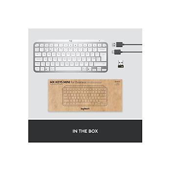 Logitech MX Keys Mini For Mac Beyaz 920-010526 Ayd�nlatmal� �ngilizce Kablosuz Klavye