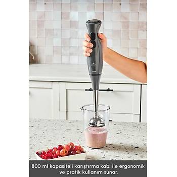 Emsan Pro Multimax 6 in 1 �ok Ama�l� Mutfak Robotu Space Gray 2000 W