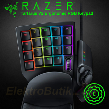 Razer Tartarus V2 RGB Ergonomik Mekanik Keypad RZ07-02270100-R3M1