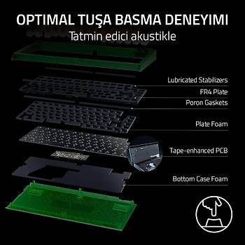 Razer BlackWidow V4 75% Phantom Green Ed. RZ03-05003300-R3M1 RGB TKL Tactile Switch Kablolu Mekanik Oyuncu Klavye