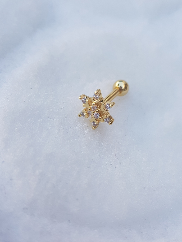 Tragus Küpe Piercing Çelik
