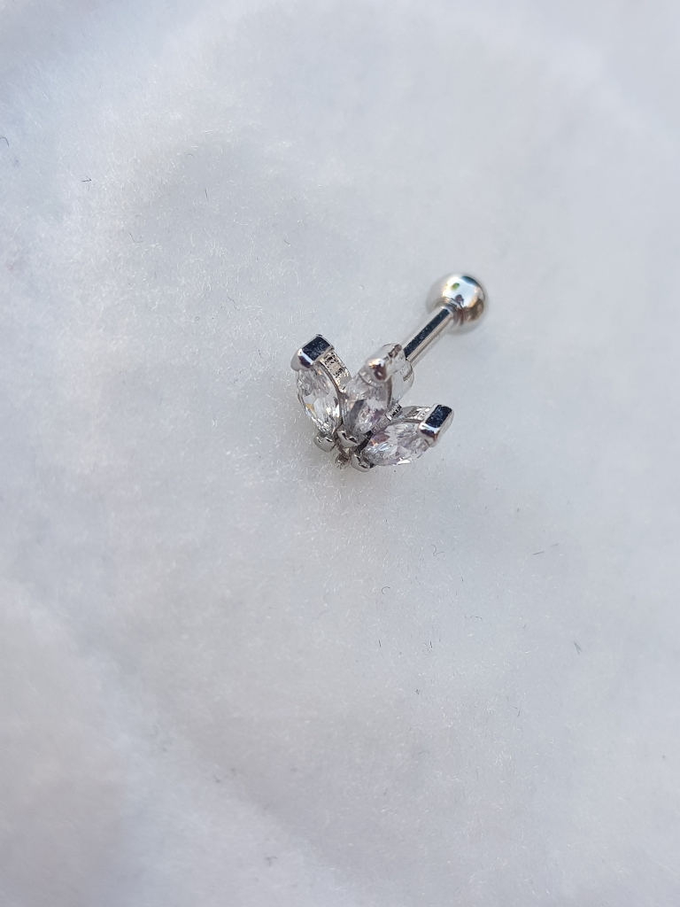 Tragus Küpe Piercing Çelik
