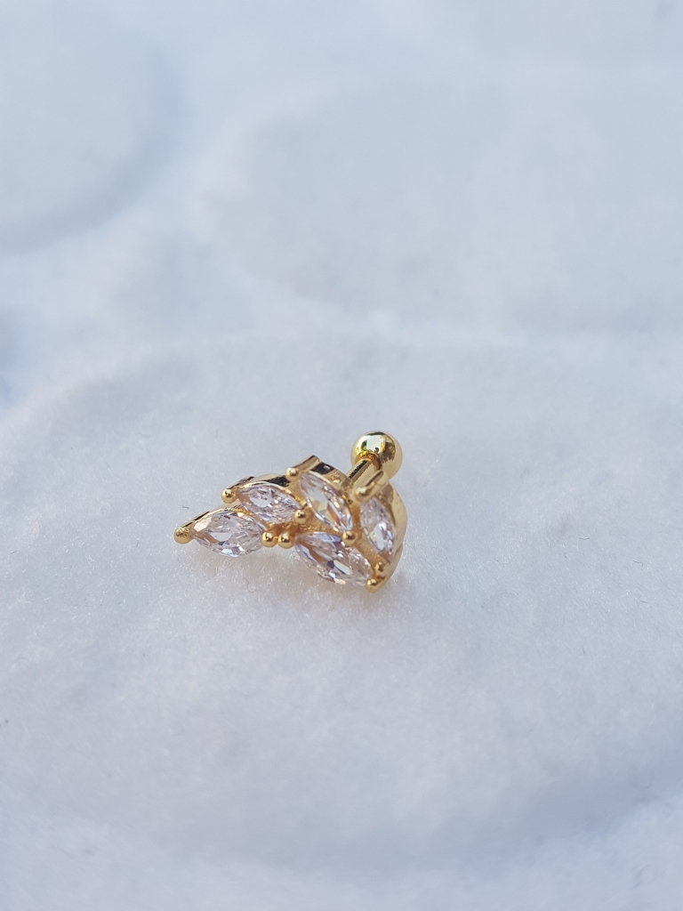 Tragus Küpe Piercing Çelik