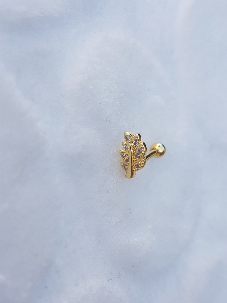 Tragus Küpe Piercing Çelik