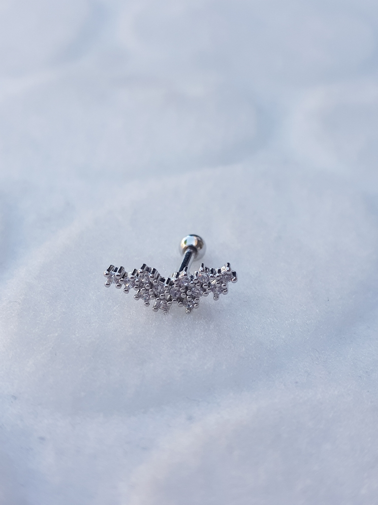 Tragus Küpe Piercing Çelik