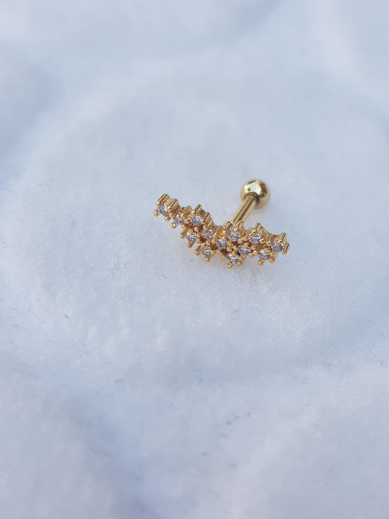 Tragus Küpe Piercing Çelik