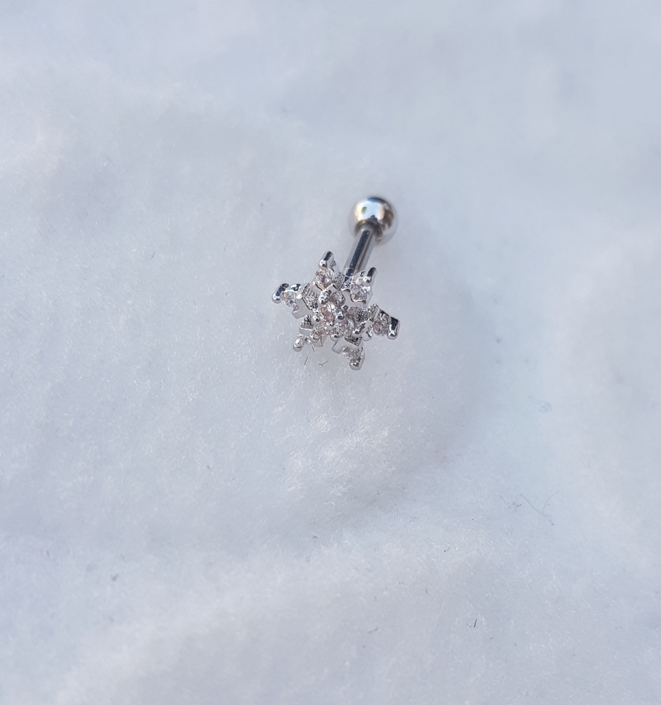 Tragus Küpe Piercing Çelik