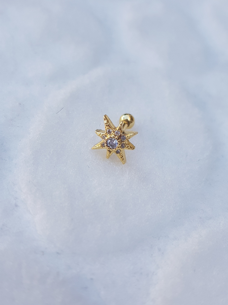 Tragus Küpe Piercing Çelik