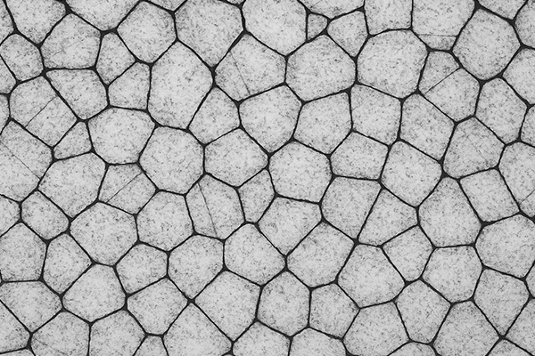 Paslanmaz �elik 304L mikroyap�s� � homojen taneler, korozyon direnci ve dayan�kl�l��� belirleyen metalurjik yap�.