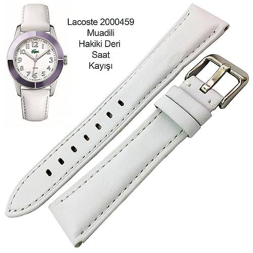 Hakiki Deri Saat Kay Lacoste 2000459 Uyumlu 20x16mm  4 Renk Seenekli