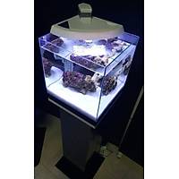 Newa More - 30 Reef Nano Deniz Akvaryumu