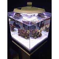Newa More - 30 Reef Nano Deniz Akvaryumu