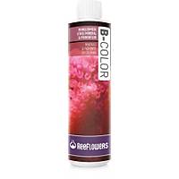 Reeflowers - B-Color