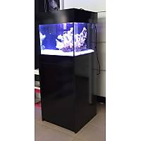 Black-K Sump Sistemli Deniz Akvaryumu