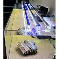 AquaLed - Led Aydnlatma Armatr Kark Renk 40 cm