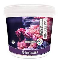 Reeflowers - Caledonia ReeF Salt Tuz 22 kg
