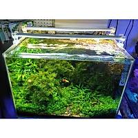 AquaLed - Led Aydnlatma Armatr Daylight 20 cm 3000K