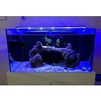 AquaLed - Led Aydnlatma Armatr Royal Mavi 100 cm
