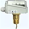 SF1K Sıvı İçin Flow Switch Industrie Technik
