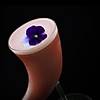 G�rsel 4