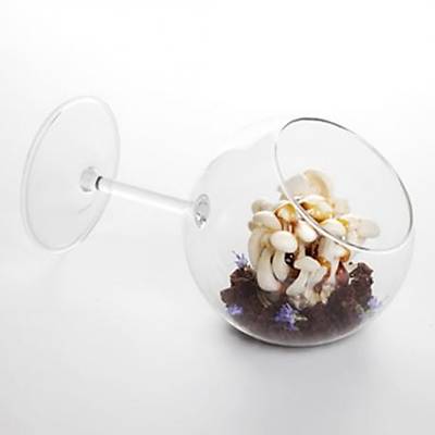 100% Chef Siesta Glass, 350 ml