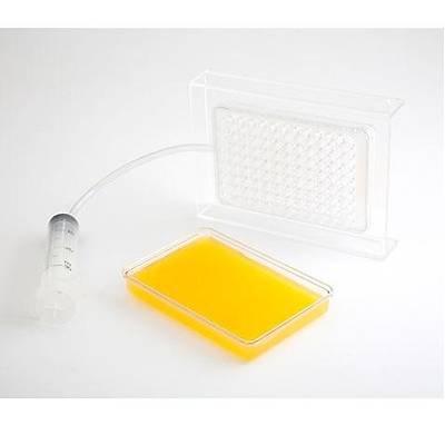 100% Chef Caviar Box