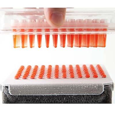 100% Chef Caviar Box