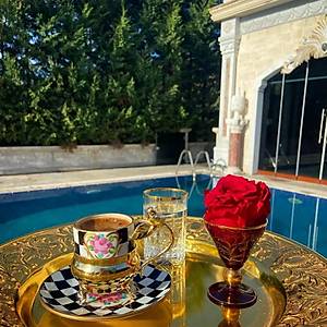 El Boyama Porselen Gold Zarfl� ve Tabakl� Damal� Fincan