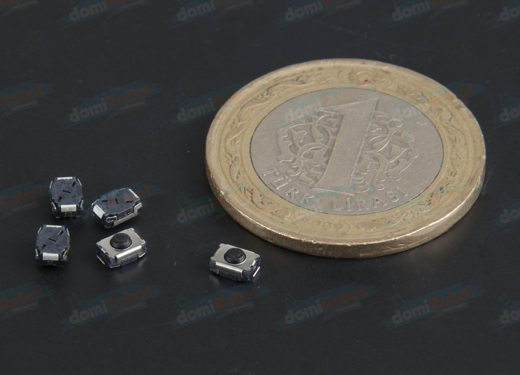 Micro Tip Smd Buton 0001