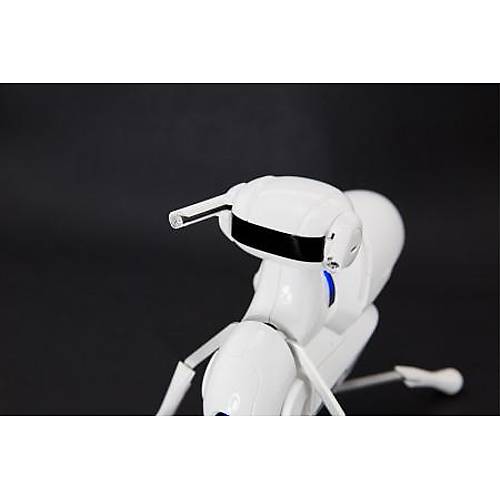 DFRobot Antbo DIY Robot Kit - The Best Robot for Kids
