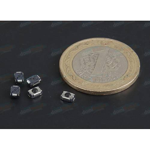 Micro Tip Smd Buton 0001
