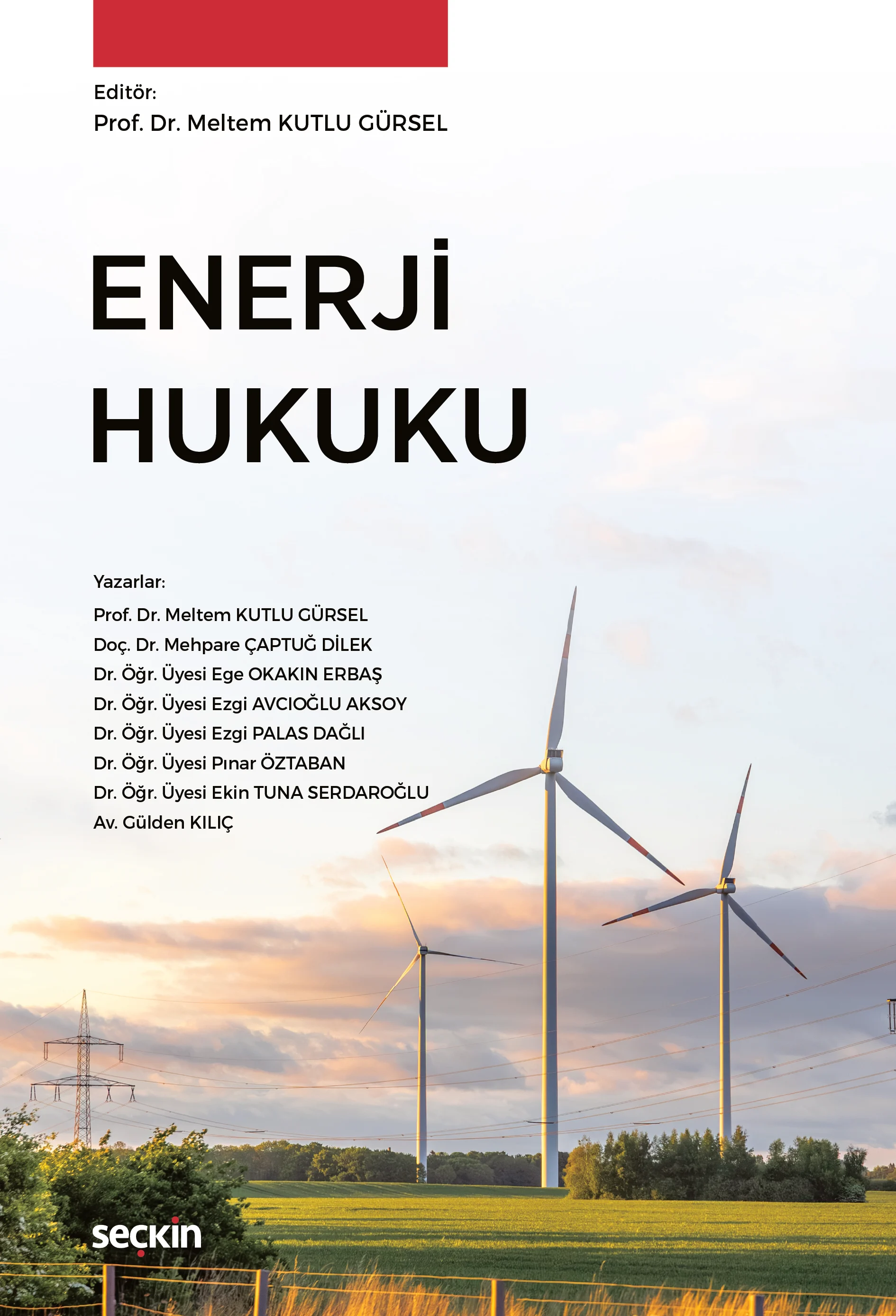 Seçkin Yayıncılık Enerji Hukuku Meltem Kutlu Gürsel 1. Baskı,  Nisan 2026