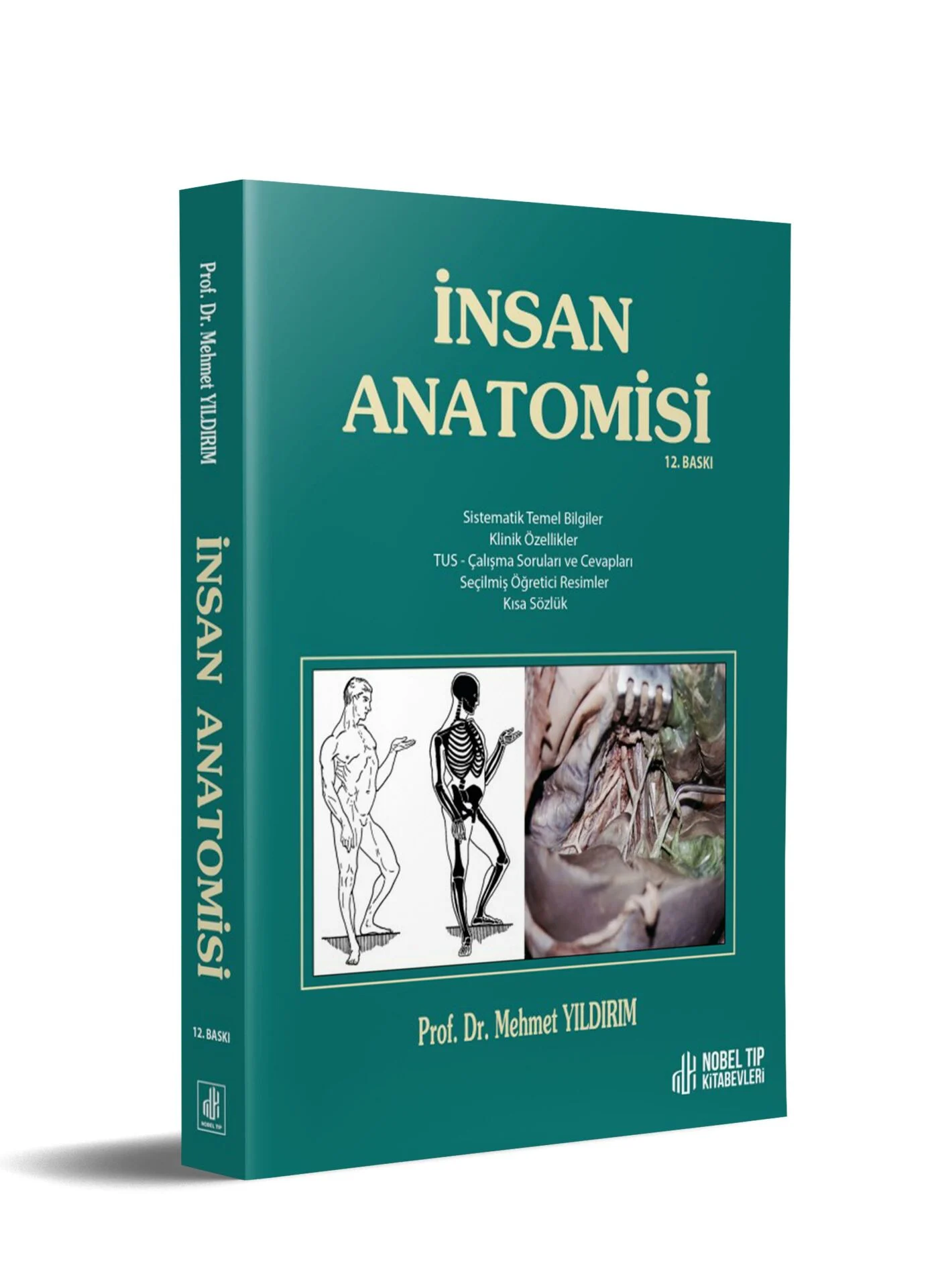 Nobel Tıp Kitabevi İnsan Anatomisi 12. Baskı (Mehmet Yıldırım)