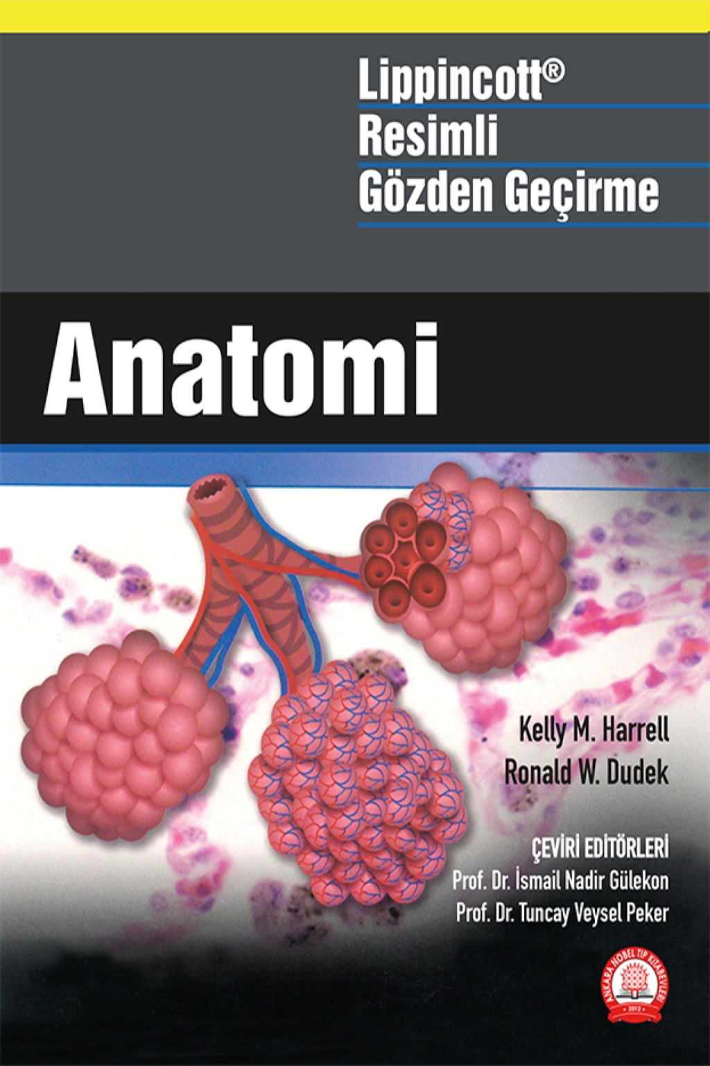 Lippincott Anatomi Resimli Gözden Geçirme/Ankara Nobel Tıp Kitabevleri